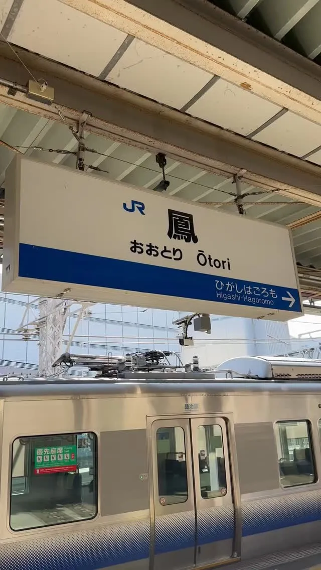 堺市鳳でジムが多すぎてどこに行けばいいの？！🤔